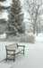 Snowstorm032