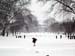 The Green-snow015