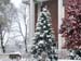 Willard Hall-snow