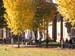 FallCampus111607-005
