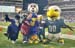 FJ-MascotsTogether