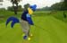 FY-YoUDeeGolf006