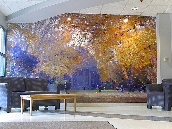HRleftwall1[9]lg