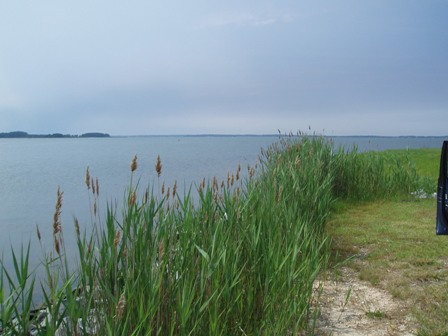 Local estuaries