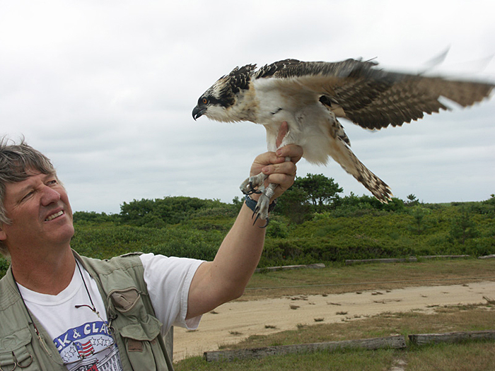 www ospreys org uk