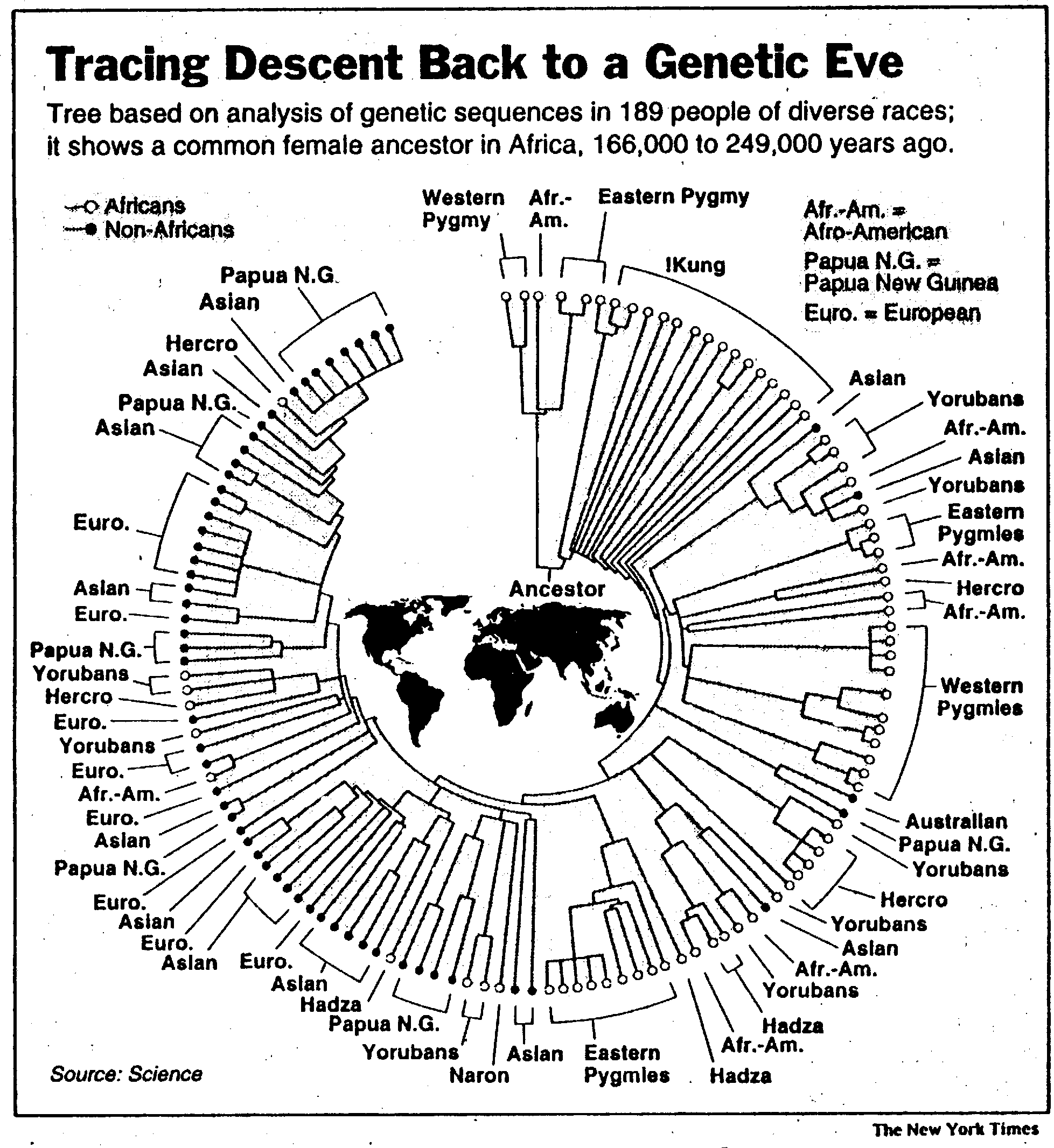 Genetics, DNA and Human Evolution