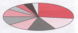 pie graph