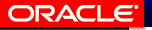 Oracle Support Services