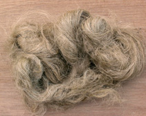 hemp fibers