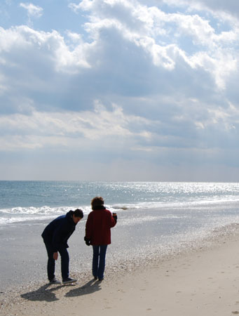 DSC_0060-crop