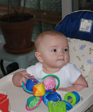 DSC_0081-crop