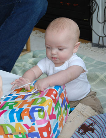 DSC_0105-crop