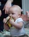 DSC_0120-crop