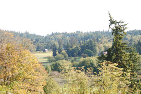 DSC_0246