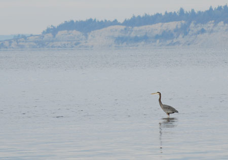 DSC_1017-crop