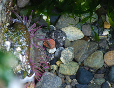 DSC_1019-crop