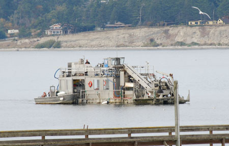 DSC_1023-crop