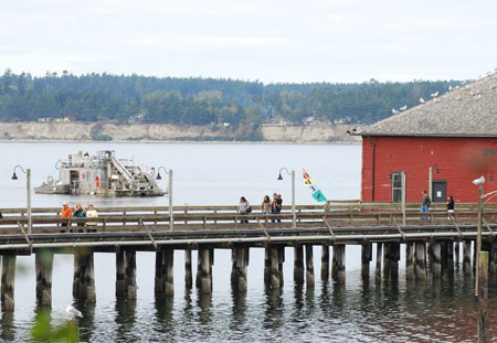 DSC_1026-crop
