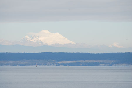 DSC_1028