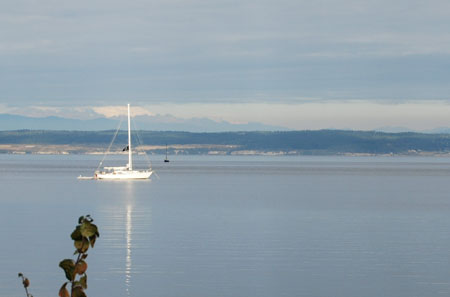 DSC_1047-crop