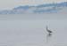 DSC_1017-crop