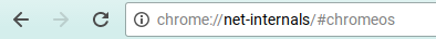 In the chrome browser enter