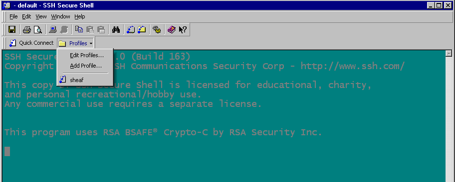ssh secure file transfer client