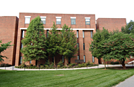 NC38