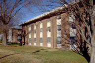 NE31