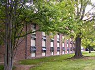 NE33