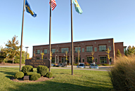 NE82