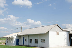 NS11