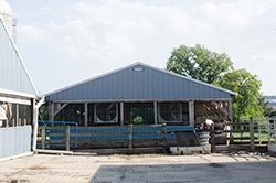 NS14