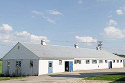 NS16
