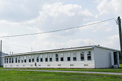 NS31
