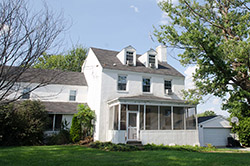 NS44