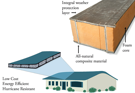 Designing Wind-resistant Roofs