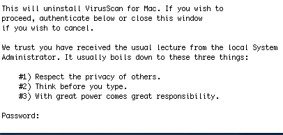 terminal window