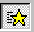 (the star)