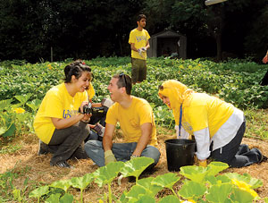 English Language Institute gardeners