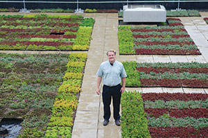 Chad Nelson in rooftop garden