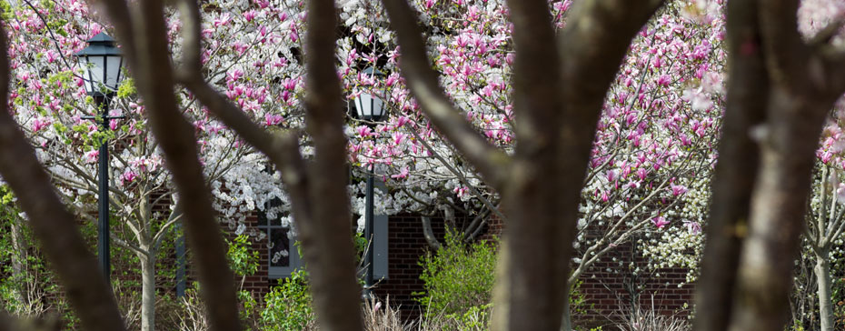 University of Delaware Campus scene