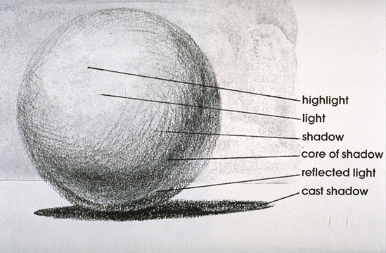 Stunning Info About How To Draw Tone - Officermember29