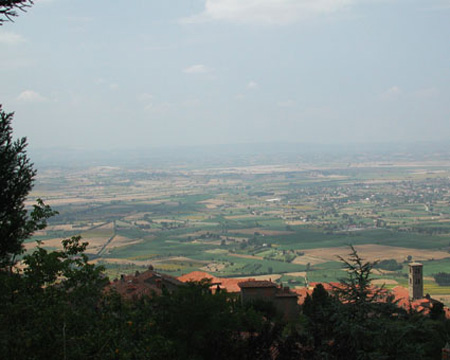 85_cortona