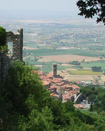 86_cortona