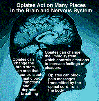 Opiates