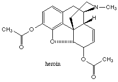 opium effects on brain