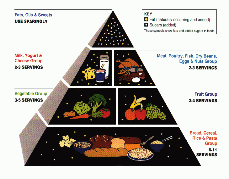 Should Americans Eat Less Meat