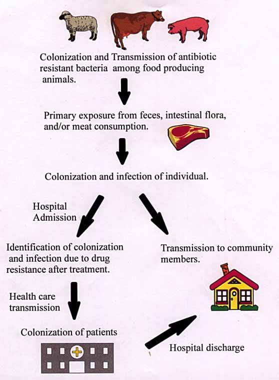 Antimicrobial agent, Description, Types, Uses, Side Effects, & Drug  Resistance