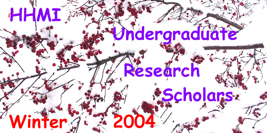 HHMI Undergraduate Research Scholars - Winter 2004
